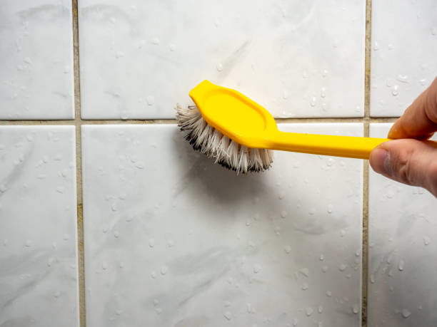 Best Certified Mold Removal  in South Gate Ridge, FL